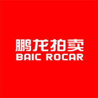 鹏龙拍卖