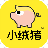 小绒猪