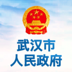 武汉市人民政府政务