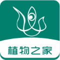 眼香