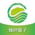 绿色篮子