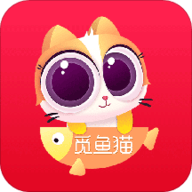 觅鱼猫