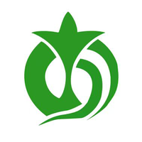 中派网