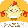 小鸡趣玩