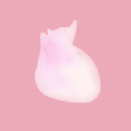 生命LIFE