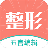 整形模拟
