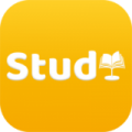 AllStudy