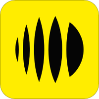 随音