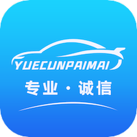 悦存拍卖