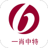 一肖中特