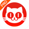 猫眼专业版电视剧播放量查询