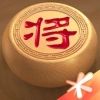 天天象棋苹果版