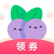 蓝莓日记
