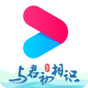 优酷谷歌版