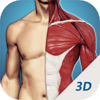 3D透视