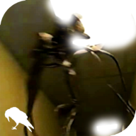 暗房backrooms中文版游戏下载