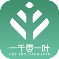 一千零一叶