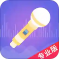 语聊音频变声器