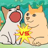 波波猫VS柴犬