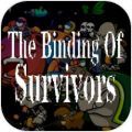 The Binding Of Survivors