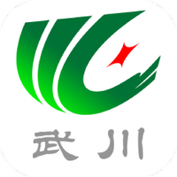 印象武川