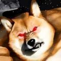 肌肉柴犬下载