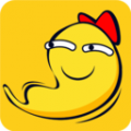 碰哈