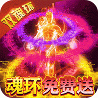 横扫天下BT双魂环超变果盘版