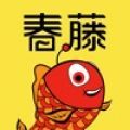 春藤家长