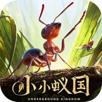 小小蚁国无限钻石版V1.0.10