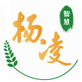 智慧杨凌