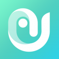 智U