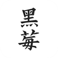 黑莓小说免费下载app