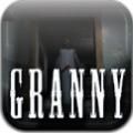 Granny内置菜单作弊版
