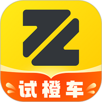真橙二手车下载