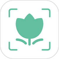 Plant Identificstion