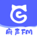 府声FM下载安装2020旧版