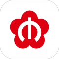 与宁同行
