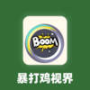 暴打鸡视界