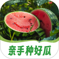 福运大西瓜