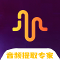 Ins音频提取软件