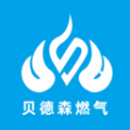贝德森燃气