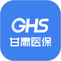 甘肃医保服务平台