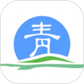 青松办