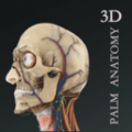 掌上3D解剖软件