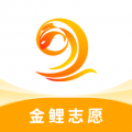 金鲤志愿