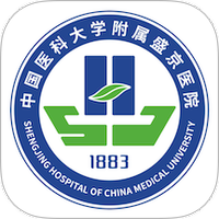 掌上盛京医院