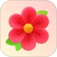 红花流量宝