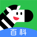 斑马百科最新版下载