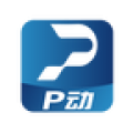 P动
